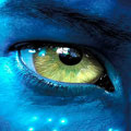 Avatar do Utilizador